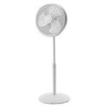 Fans