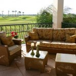 Patio/ Outdoor